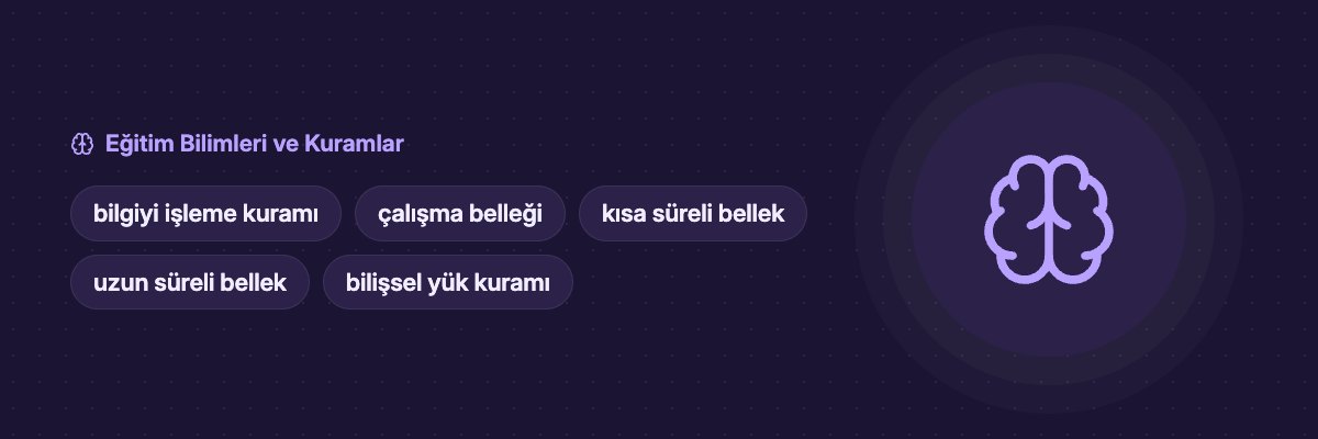 Bilgiyi İşleme Kuramı: Bellek Modelleri ve Çalışma Belleği yazısının kapak görseli